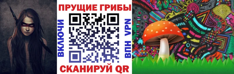 где купить   Ревда  Псилоцибиновые грибы мицелий 